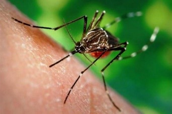 Заходи з профілактики гарячки Західного Нілу